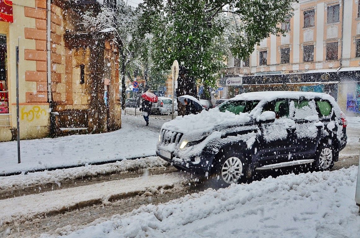 Пальмы в снегу фото